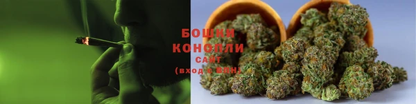 гидропоника Абаза